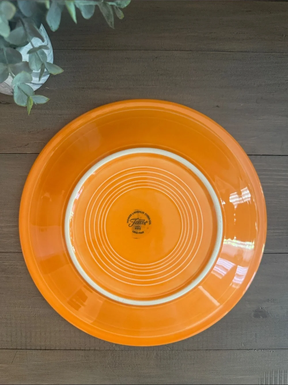 Fiesta Tangerine 10 1/2 Dinner Plate (2003-2017)